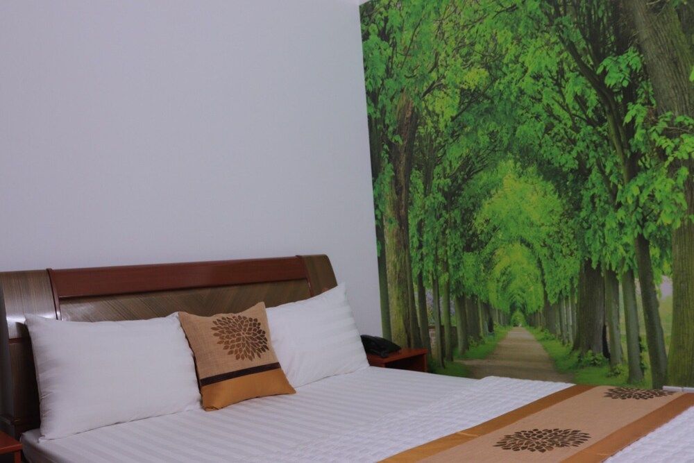 Thanh Binh Hotel Standard Double Room Single Use 18