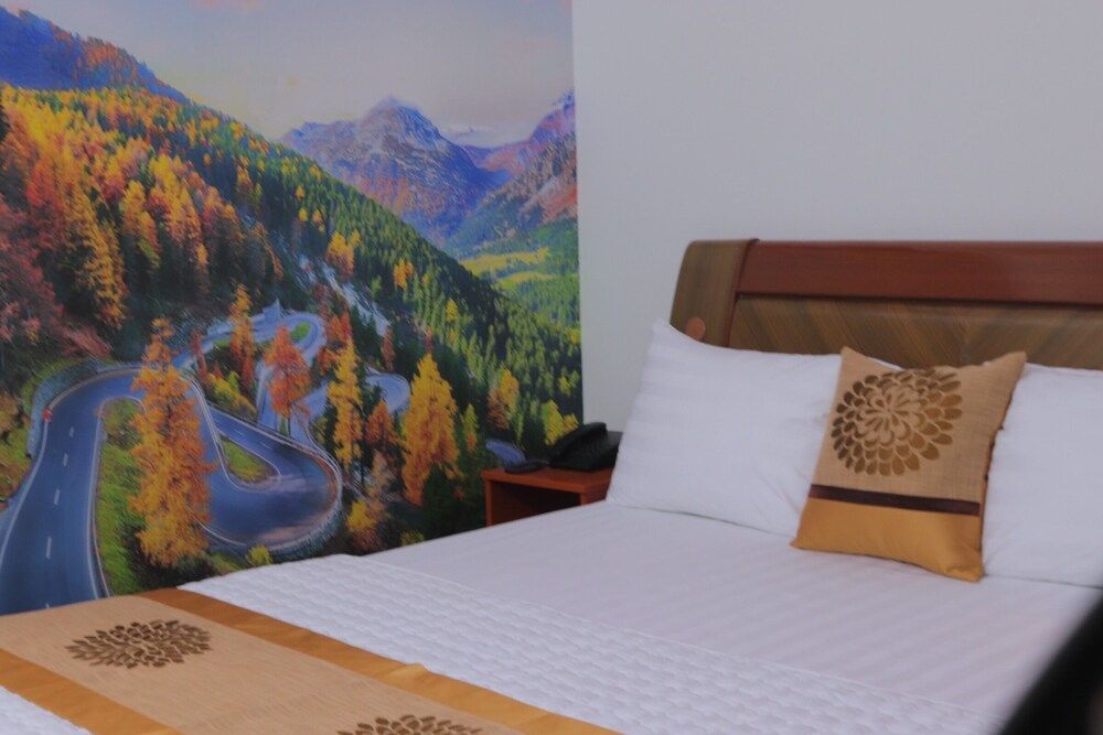 Thanh Binh Hotel Standard Double Room Single Use 14