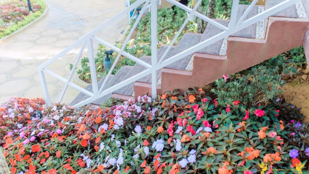 undefined Bungalow Lam Phuong Cac Hill 4