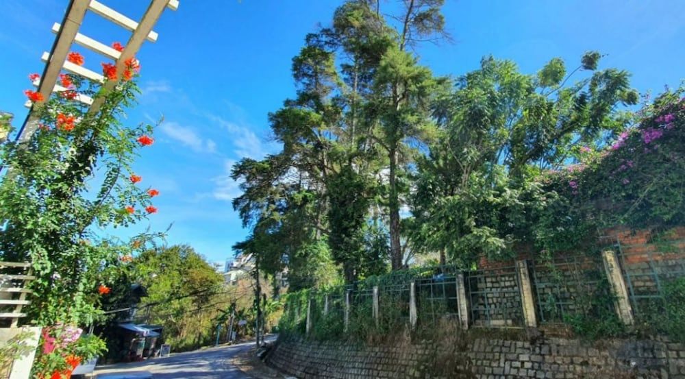 undefined Pho Hoa Boutique Villa 8