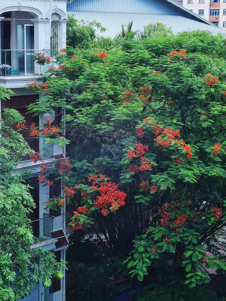 undefined HB Serviced Apartment - 12 Tran Quy Kien 6