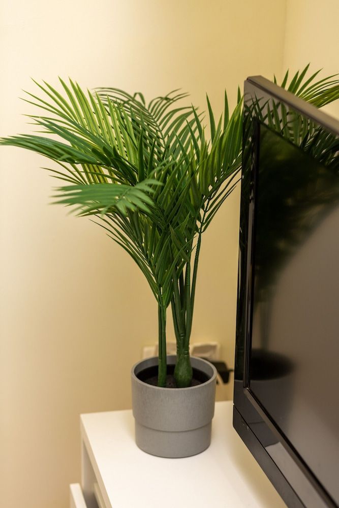 undefined Studio Warsaw Miączyńska by Renters 4