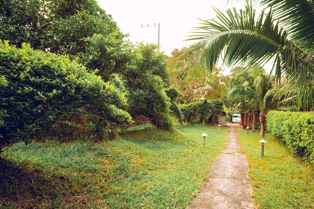 undefined Minh Vuong Village Resort Phu Quoc 6