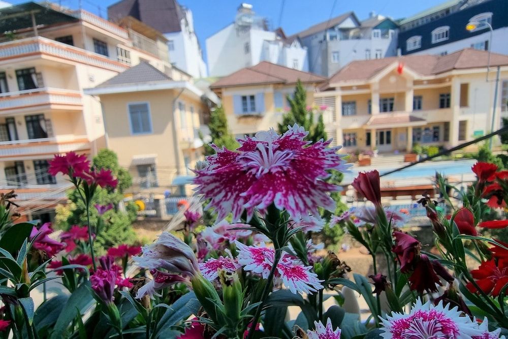 undefined Glory - Gia Huy Hotel 7