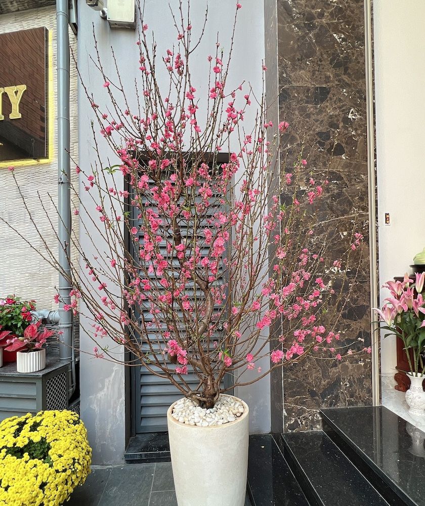 undefined Khánh my apartment 8