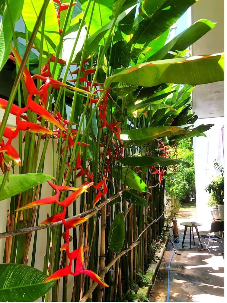 undefined Hoian Central Garden Homestay 7