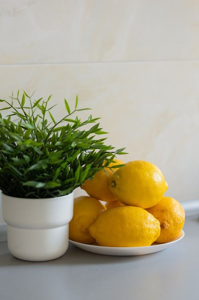 undefined Złota City Center by Renters 4