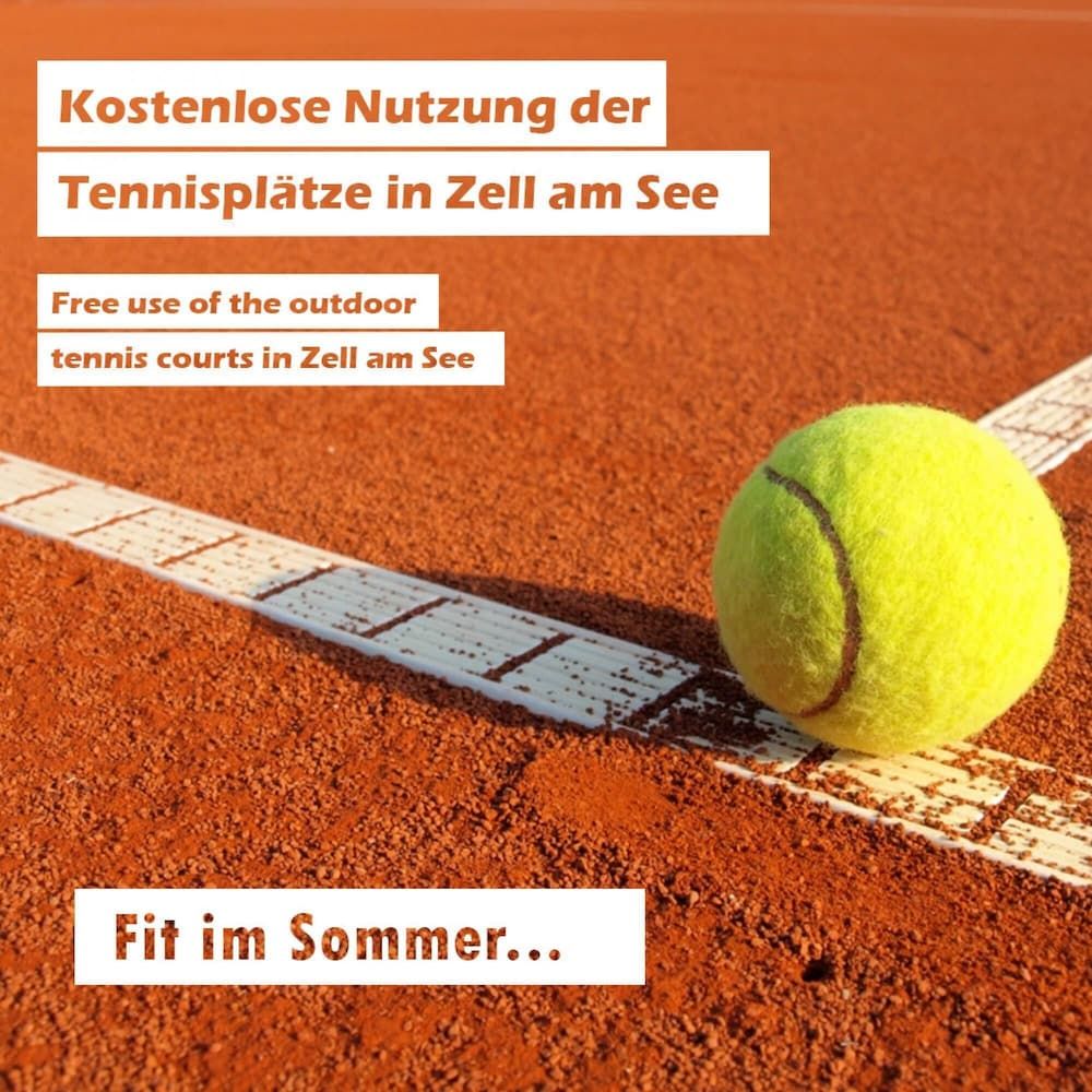 undefined Apartment Kreuzgasse - TOP 2 in the Town of Zell 5