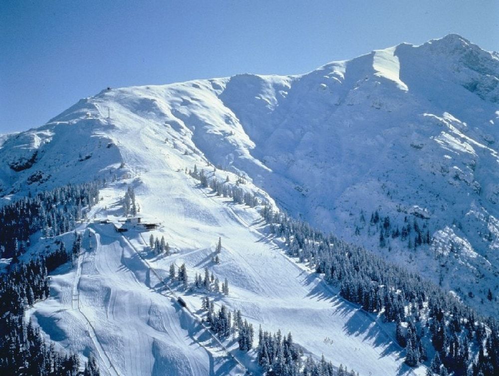 undefined Hotel Schönegg 8