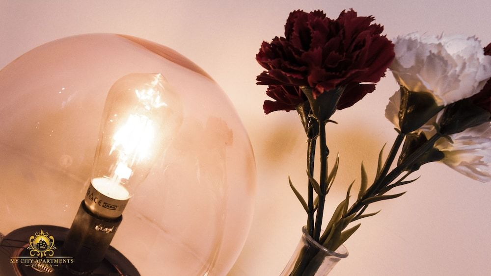 My City Apartments - Prime Location Deluxe Apartment, 1 Double Bed, Courtyard View (2.floor) 6