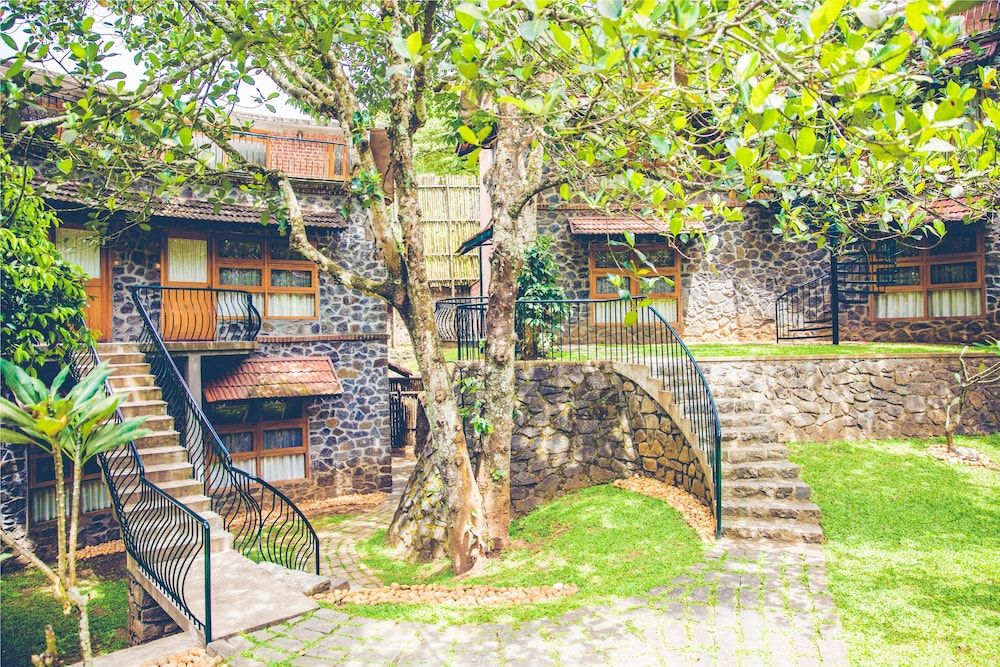 undefined Wildernest