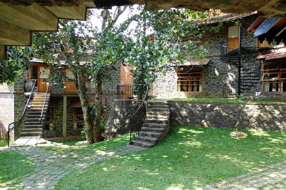 undefined Wildernest 7