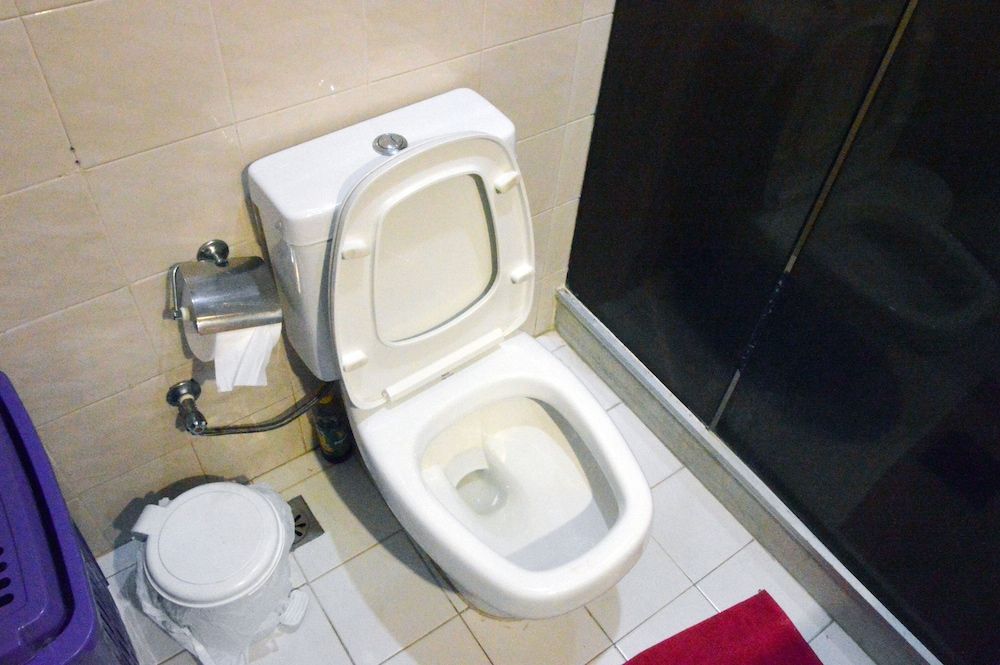 undefined Claudia Copa 8