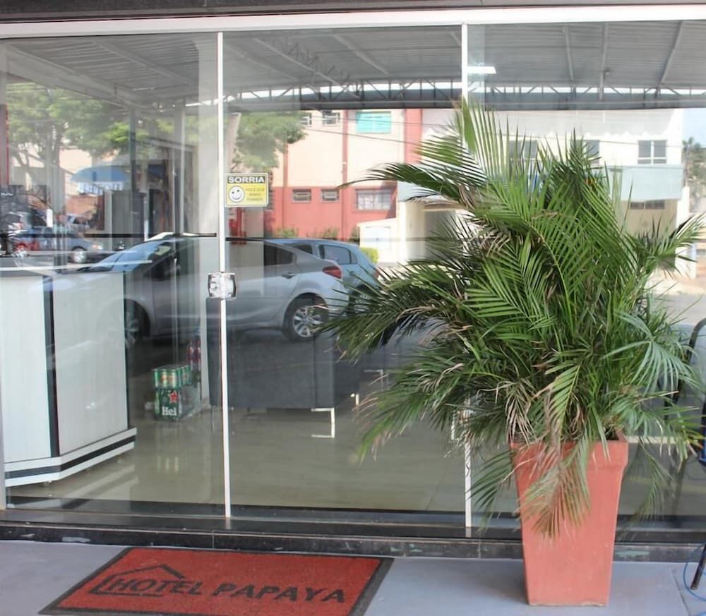 undefined Hotel Papaya 2