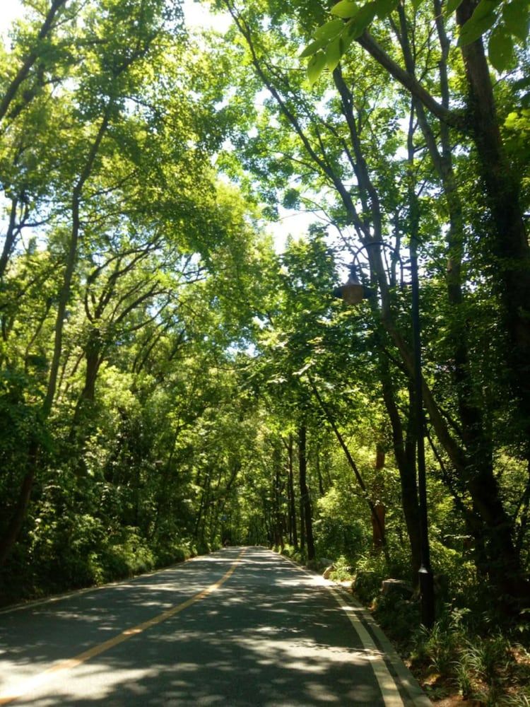 undefined Qiao Garden Vacation Hotel 3