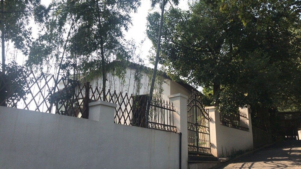 undefined Green Sleeves 5