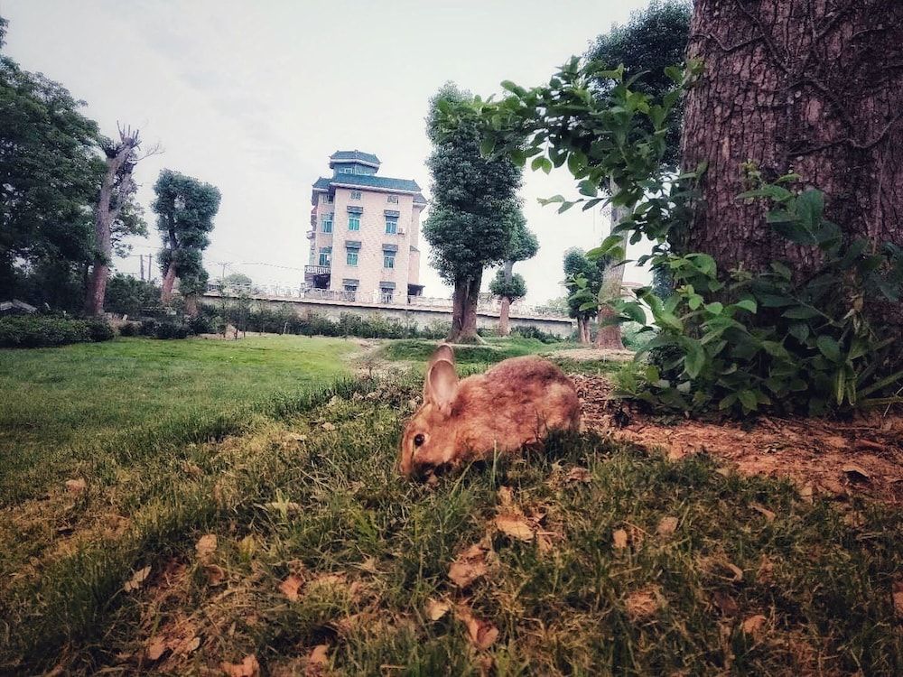 undefined S·dor Hotel Hangzhou Xiaoshan Airport 5