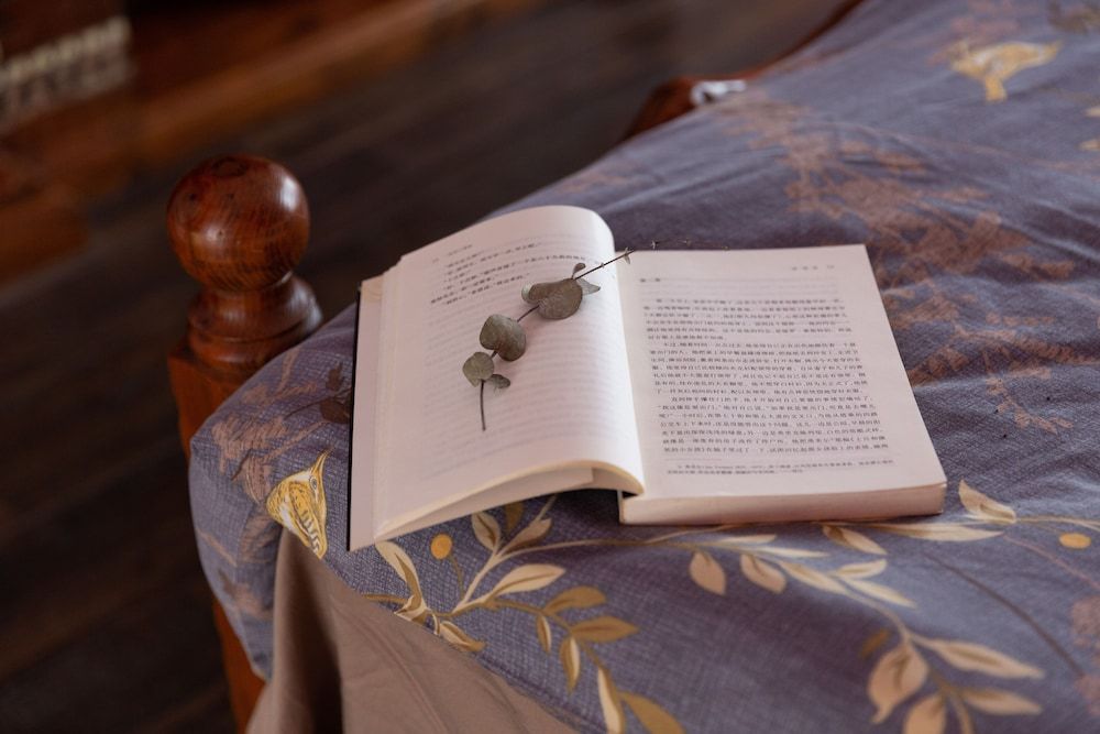 JiuYueJi Inn Deluxe Double Room 11