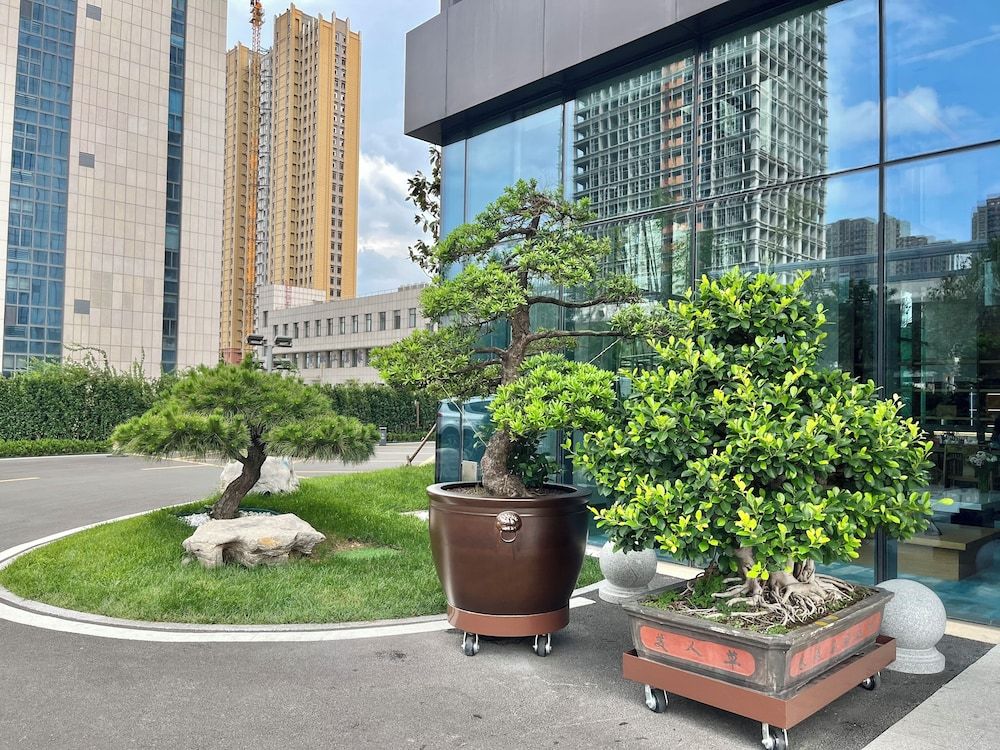 Fairfield By Marriott Zibo Premier Room, 1 King Bed, City View 5