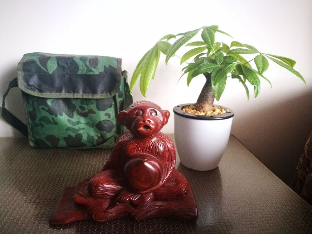 undefined Shanghai The Bund View Guesthouse 10