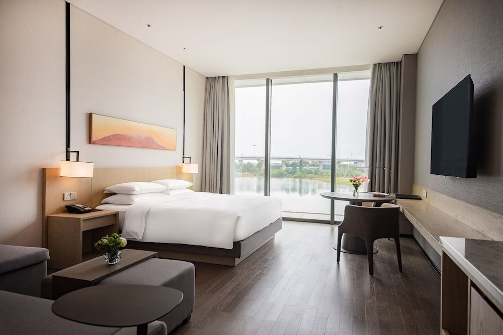Room, 1 King Bed with Sofa bed