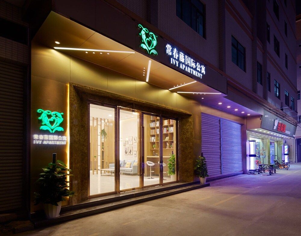 undefined Ivy International Apartment 6