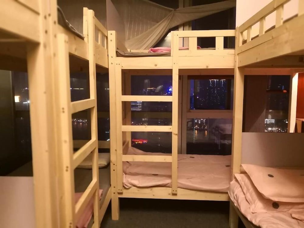 undefined Best Cat Hostel 9