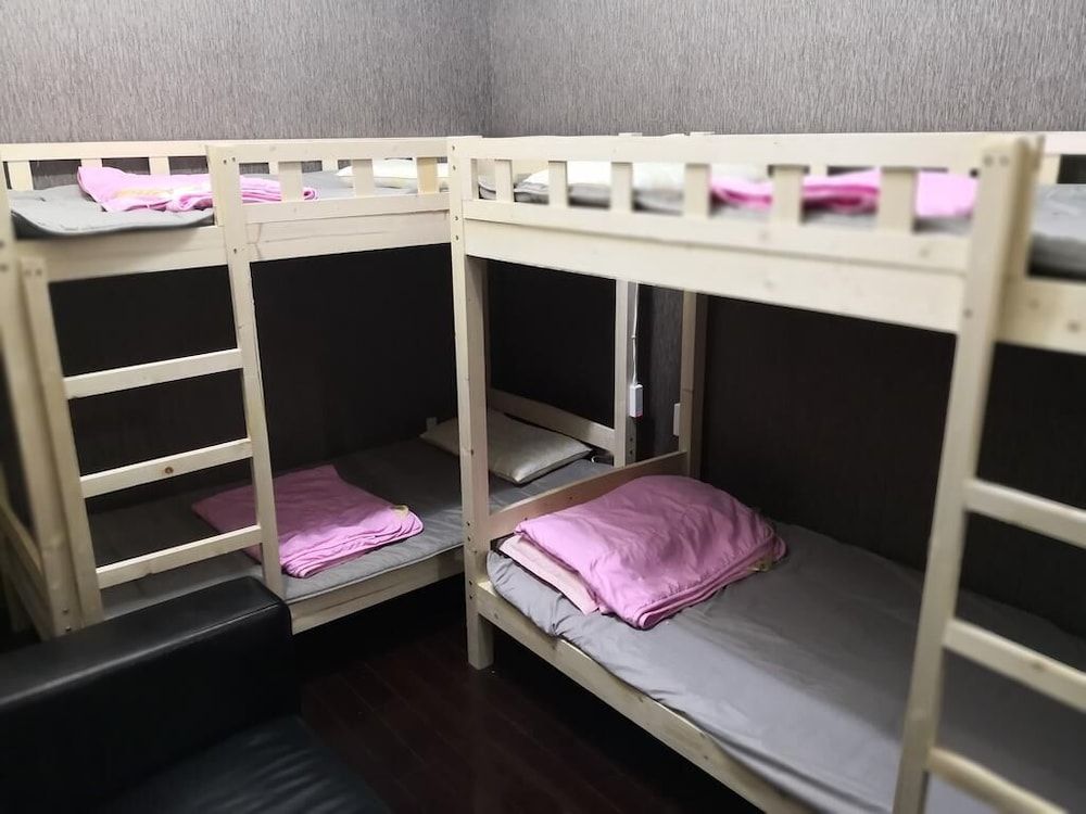 undefined Best Cat Hostel 3