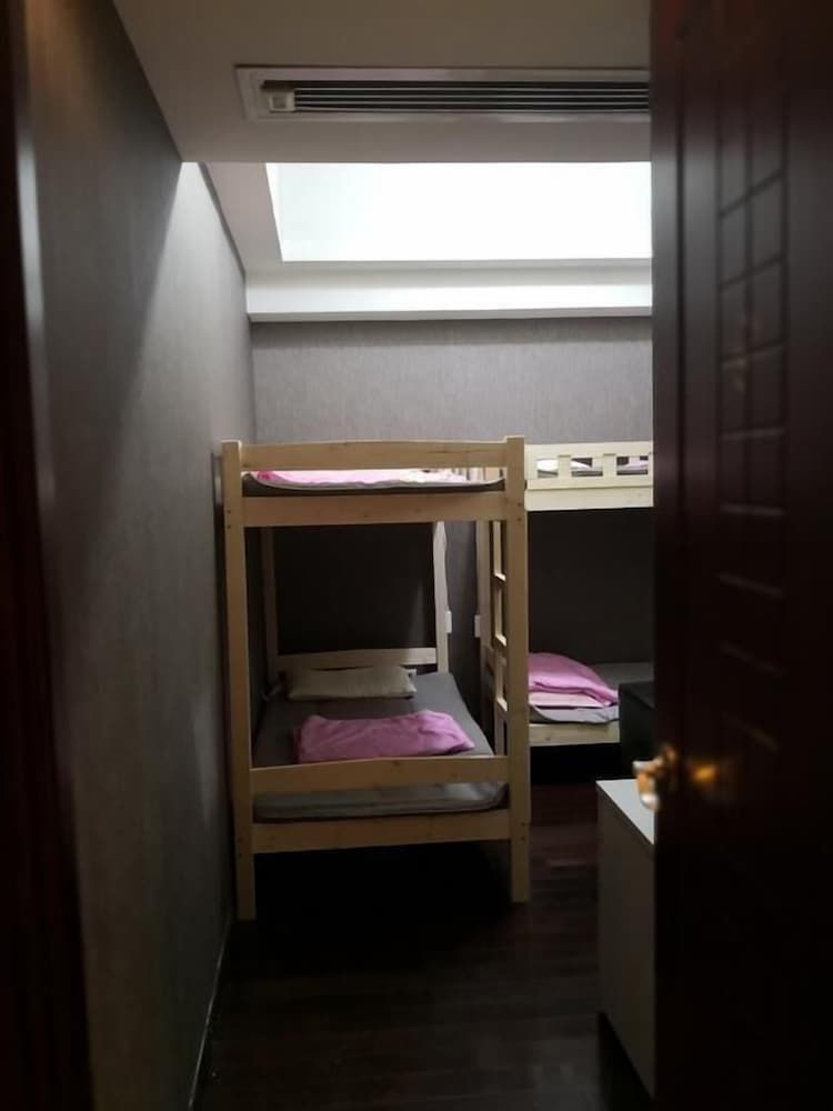 undefined Best Cat Hostel 8