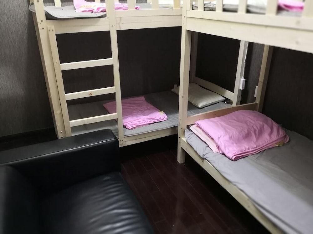 undefined Best Cat Hostel 2