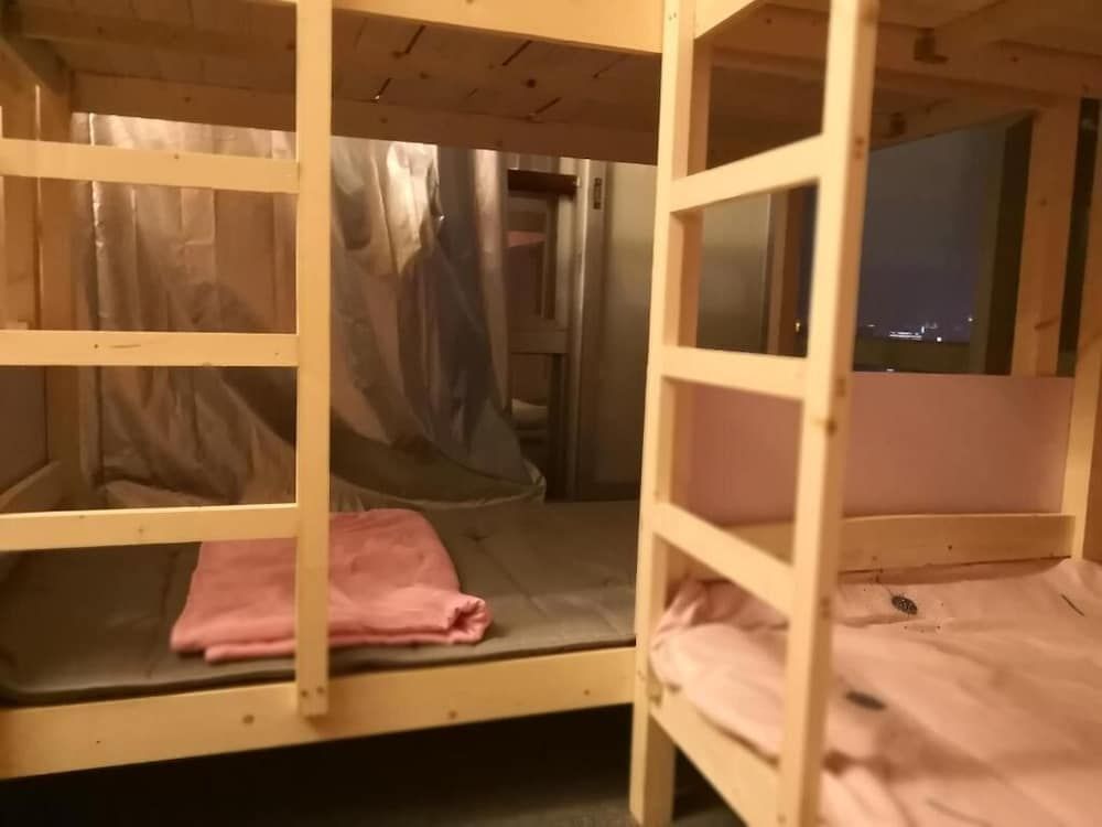 undefined Best Cat Hostel 5