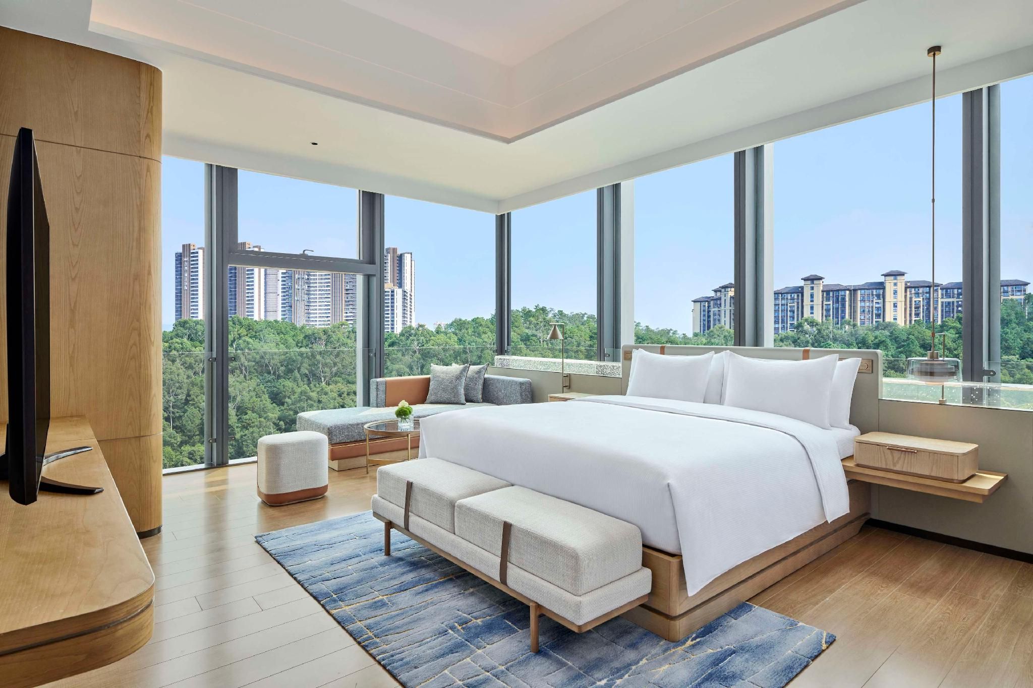 King Deluxe Suite