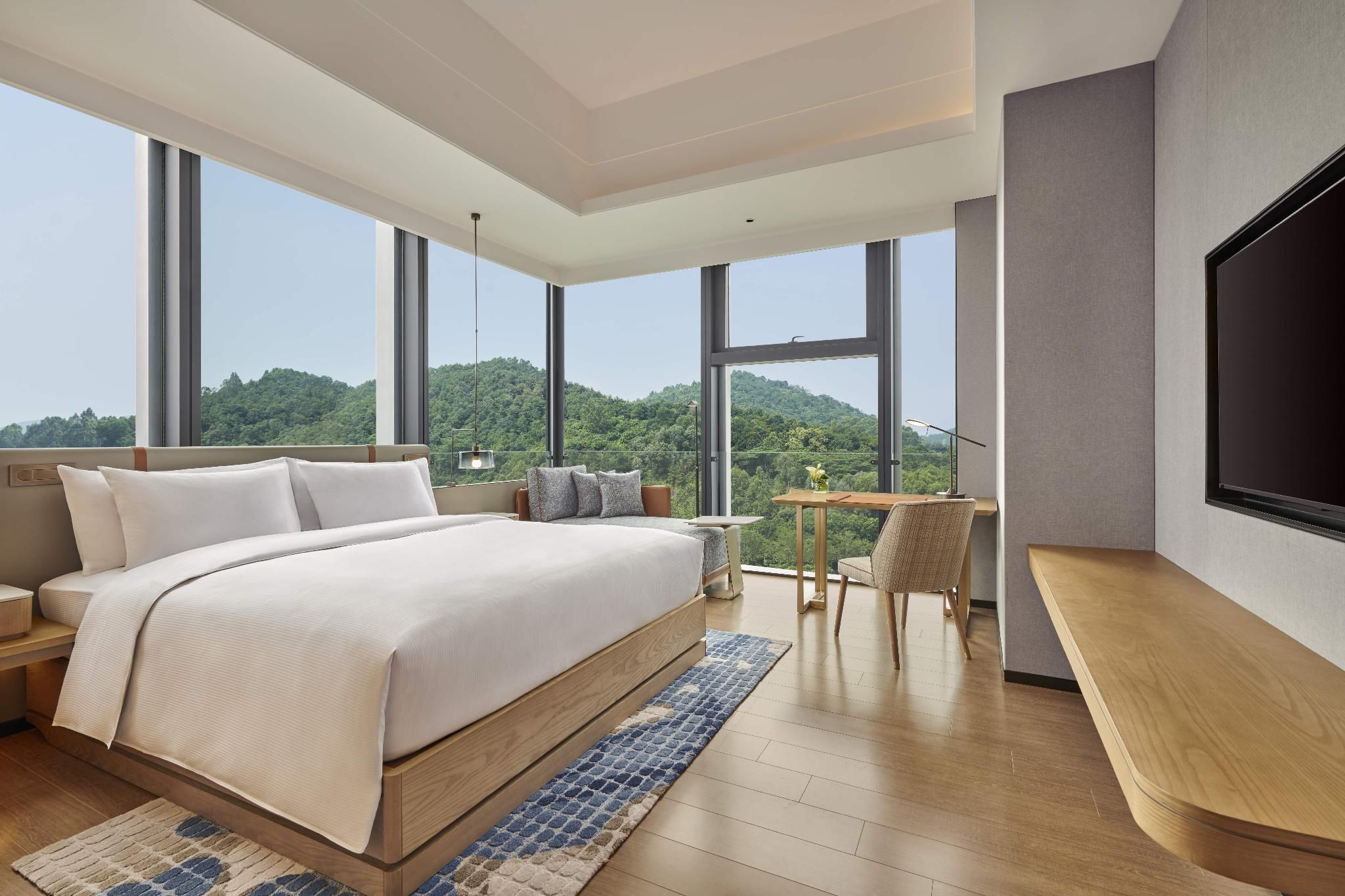 King Premium Room