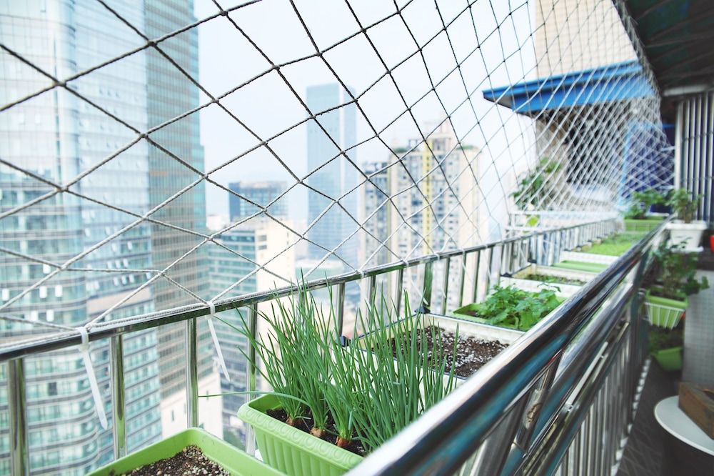 Only Cafe and Backpacker Bed in 8-Bed Female Dormitory Room 3