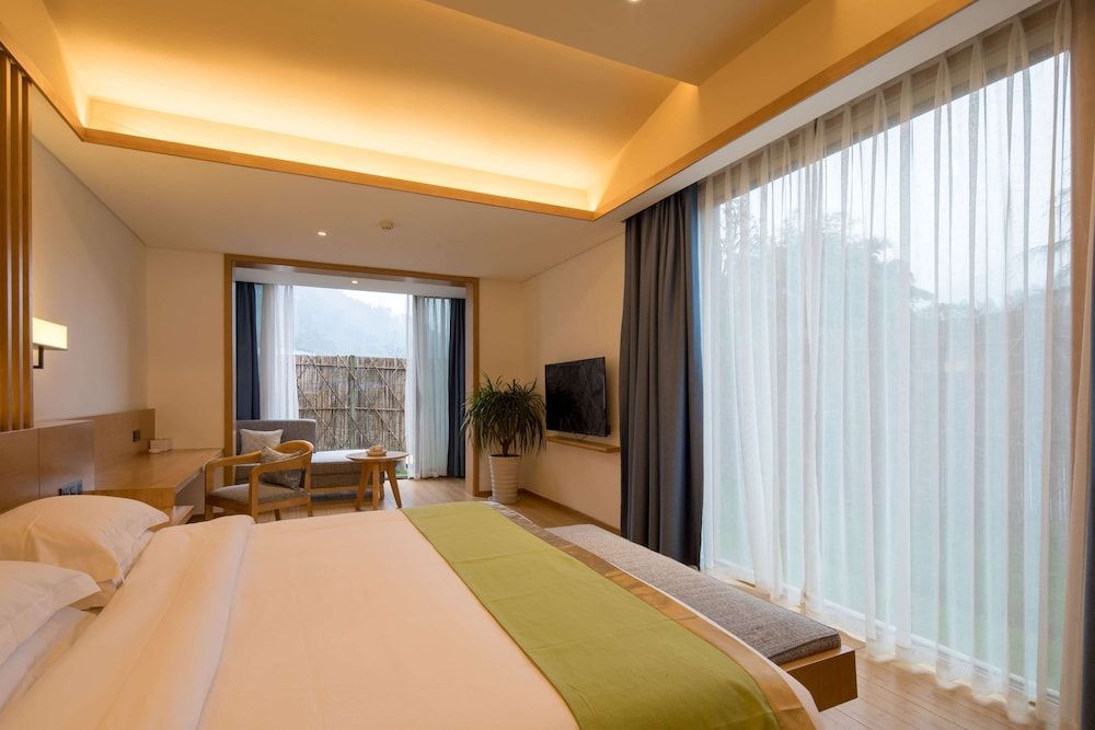Room, 1 King Bed, Smoking