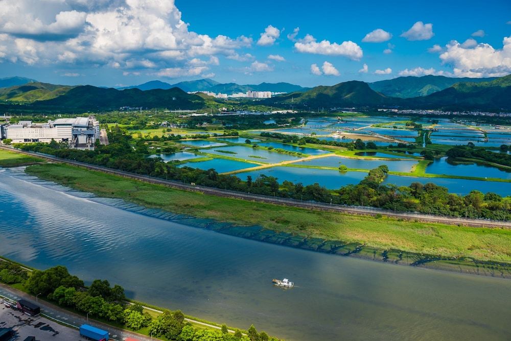 Shezhen Duwel Service Apartment Futian Studio 21