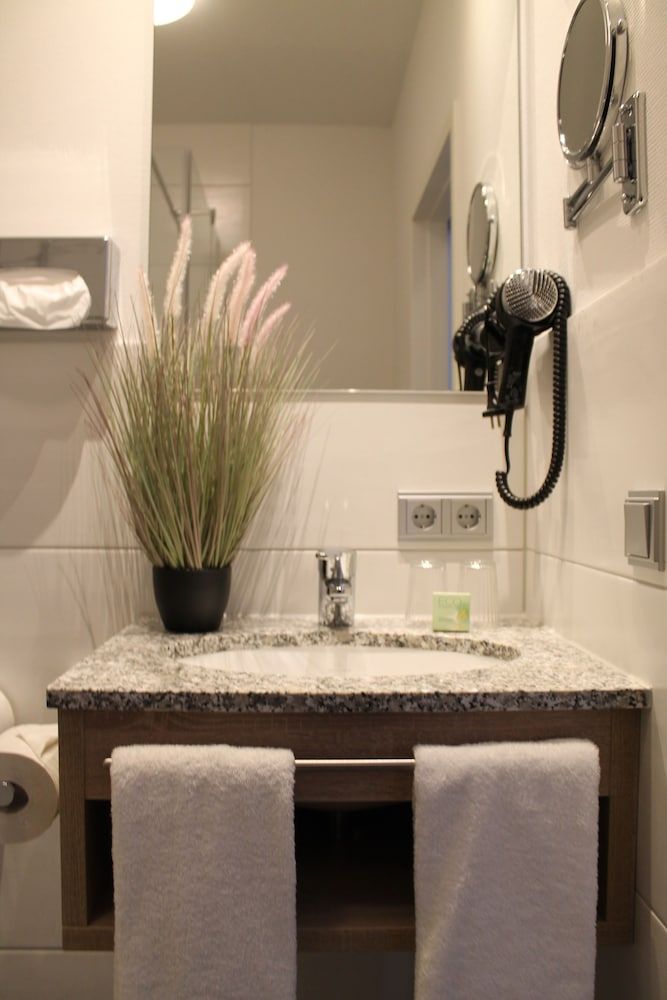 Hotel Krone Business Double Room 2