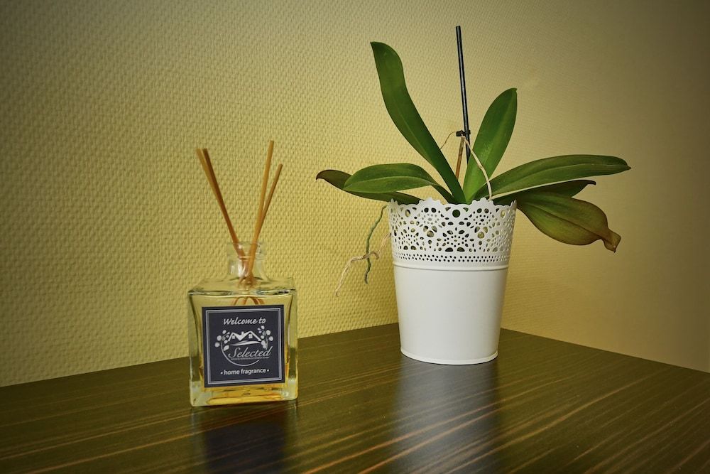 Pension Katharinenschule Premium Double Room 8