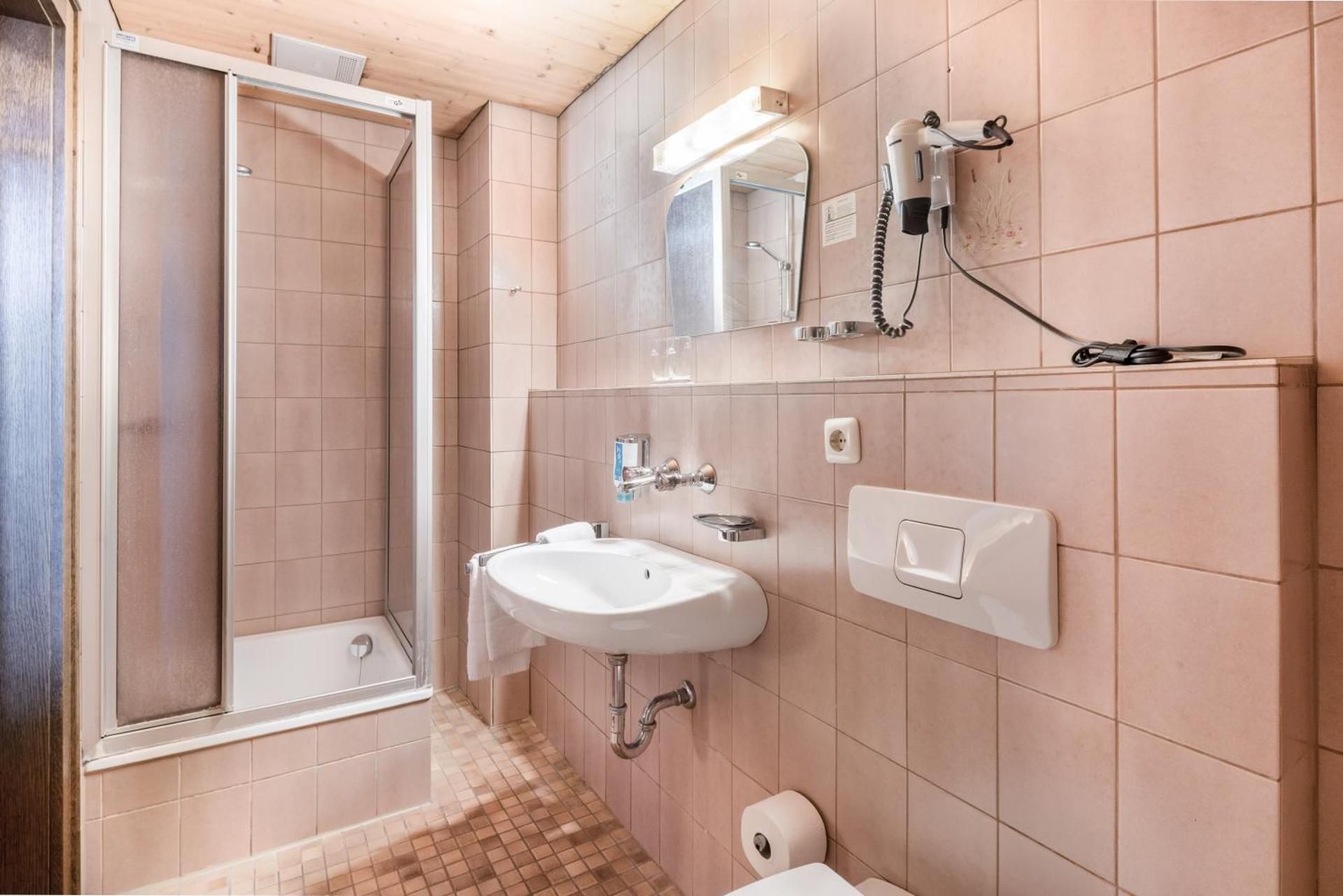 Monteur Single Room with sloping roof