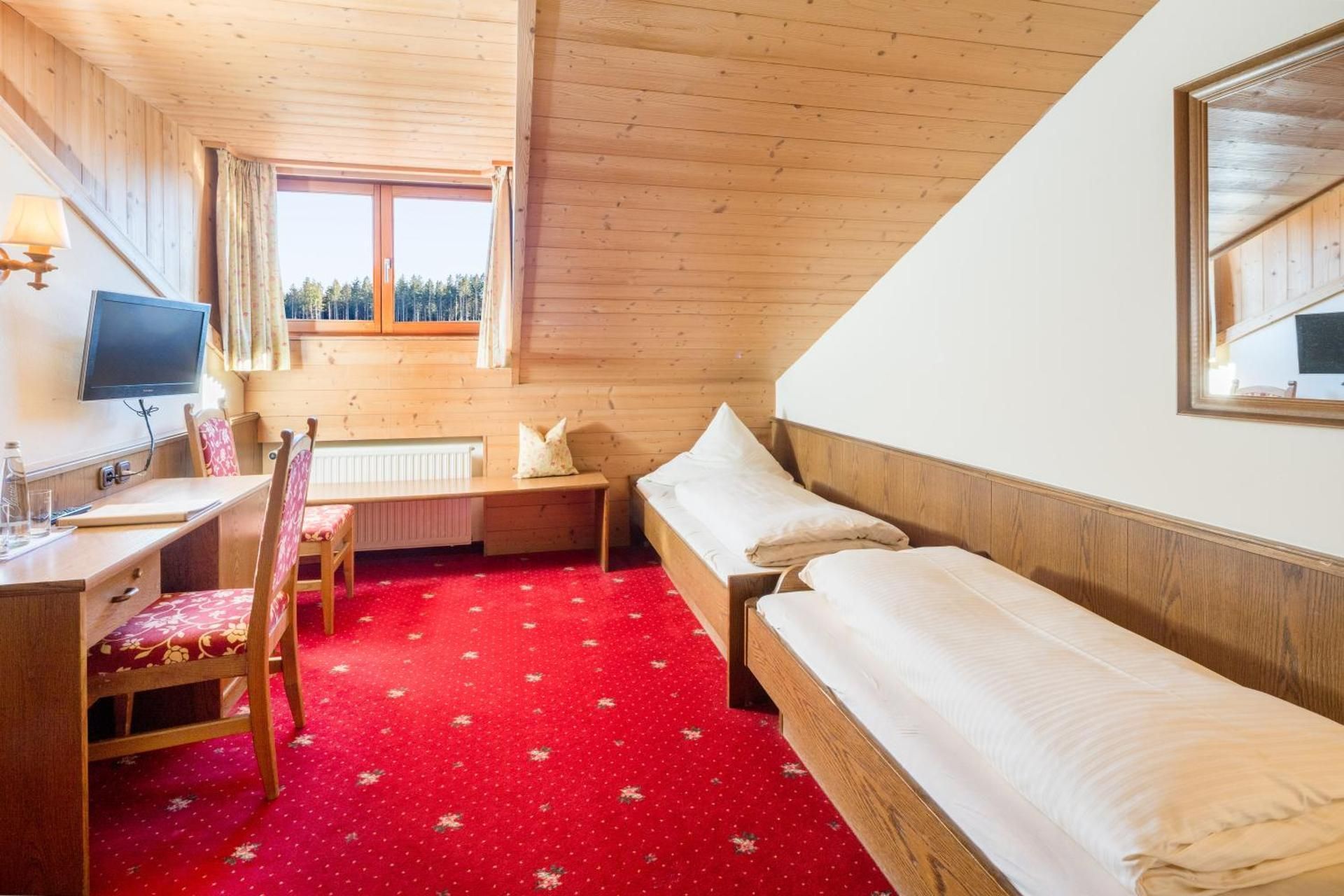 Small Twin Room with sloping roof