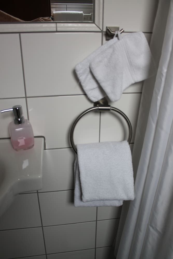 Alleehotel Eschen Double Room 9