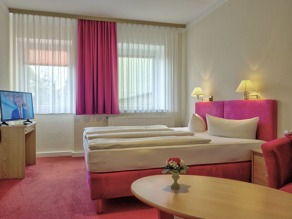 Hotel Elbparadies Double Room 2