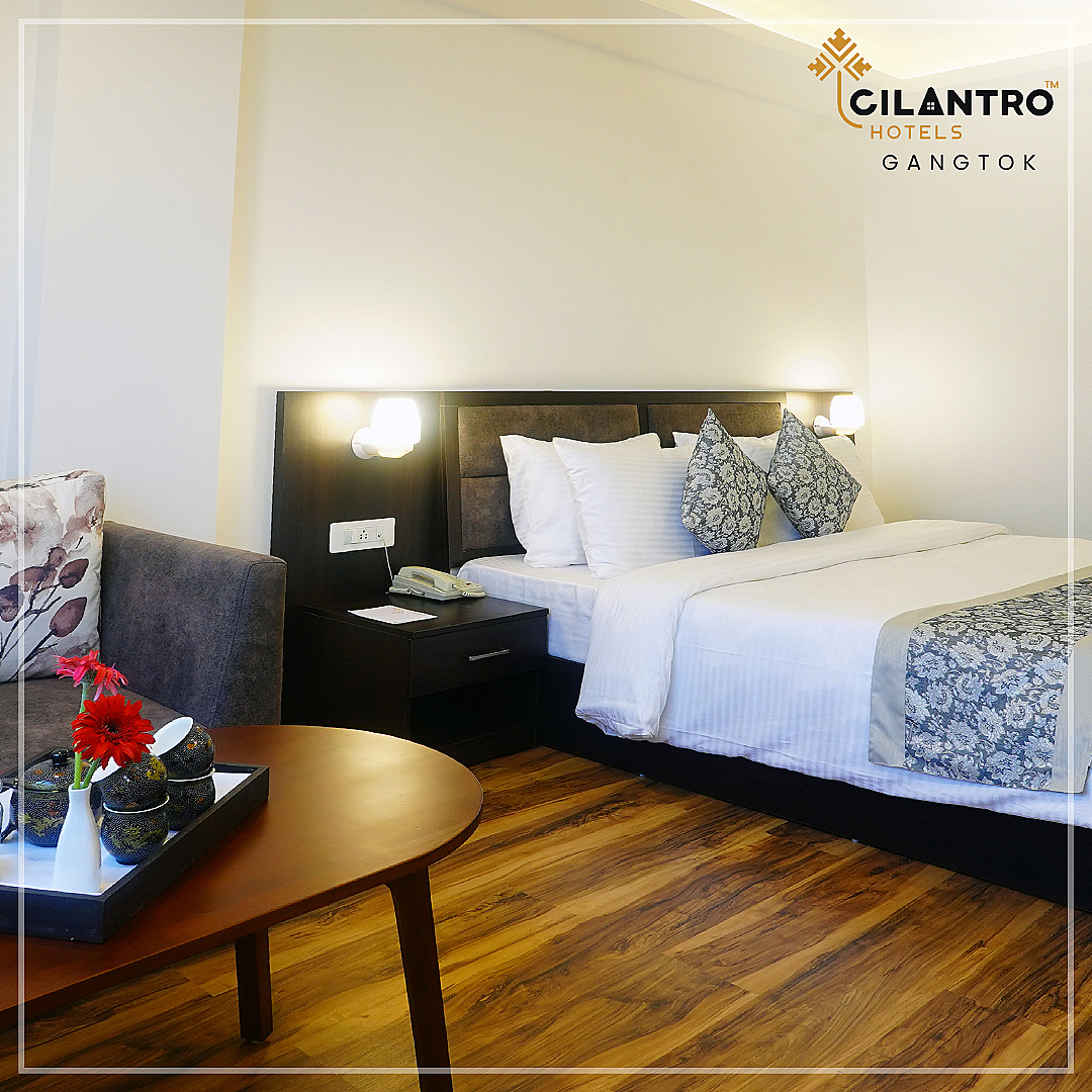 Cilantro Comfort, Gangtok The Classic 2