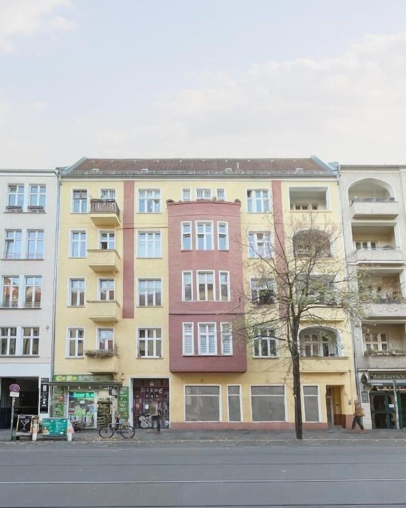 undefined Homaris Boxi Studios 2