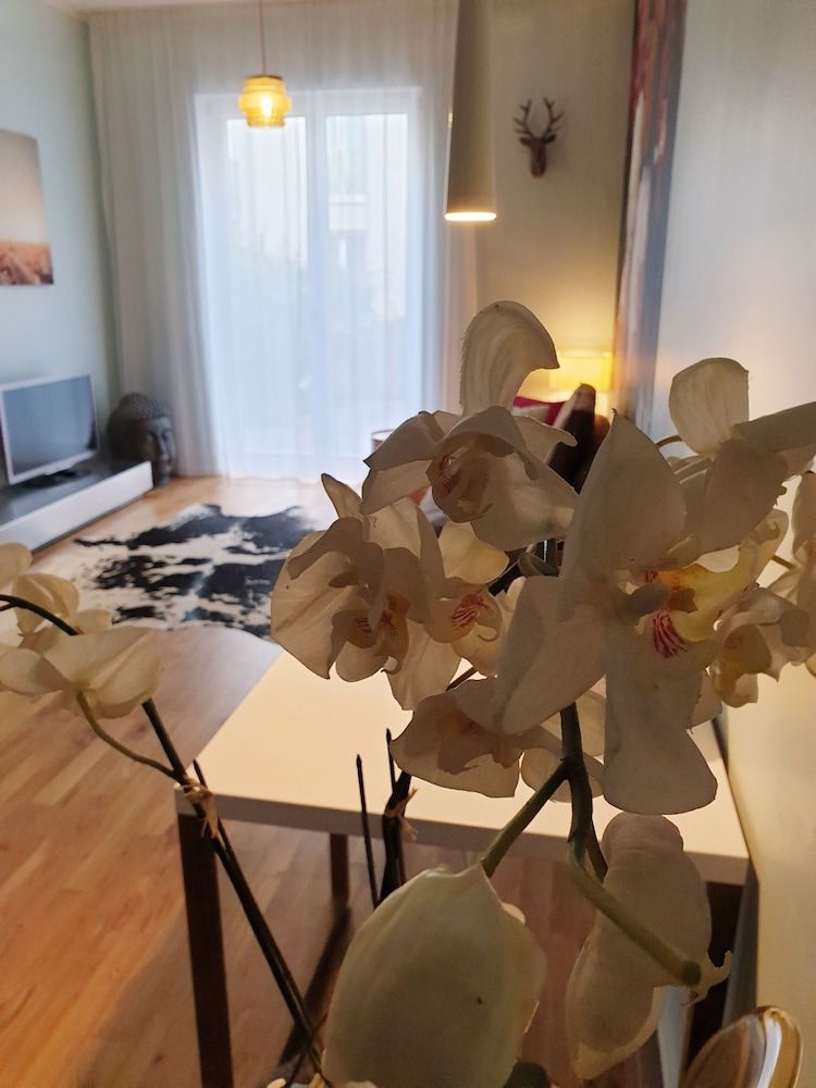 Apartment P1 in Berlin-Friedrichshain Design Apartment, Accessible, Garden View 13