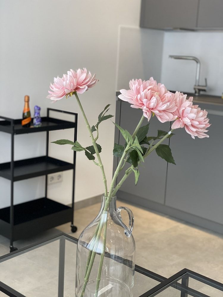 Spanien Flair mitten in Köln Classic Condo 42