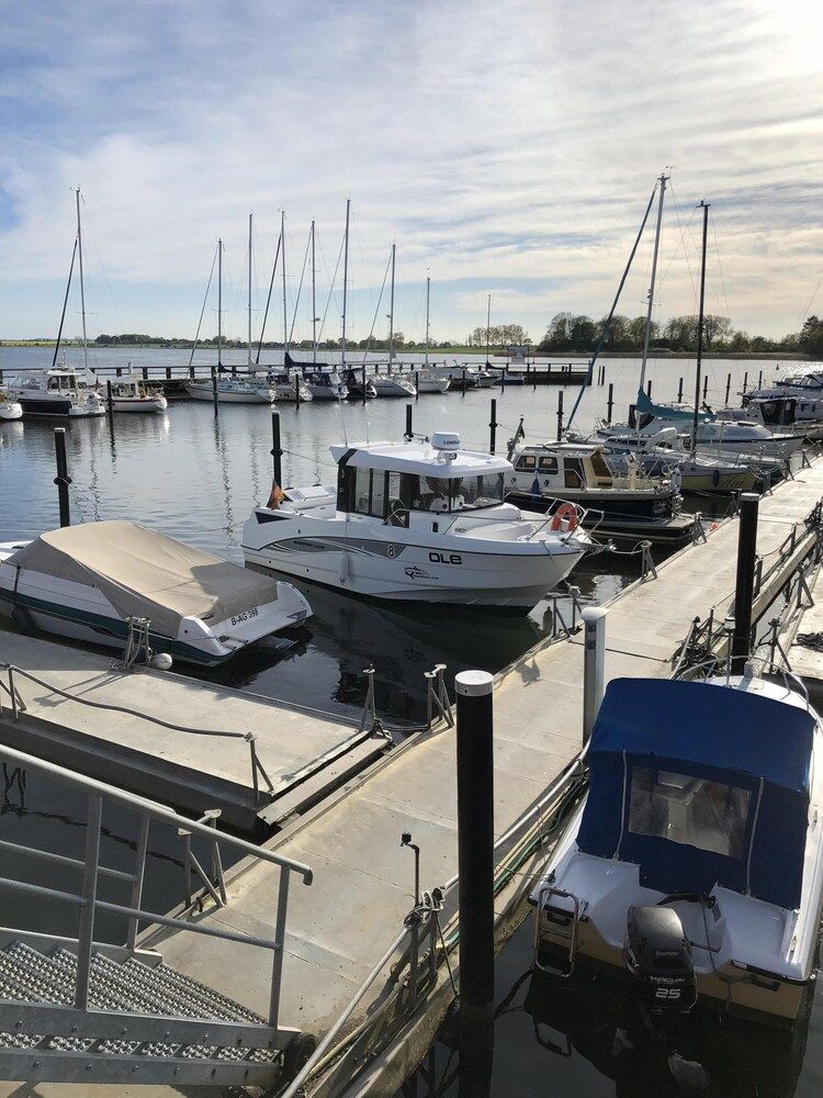 Ostseekrabbe