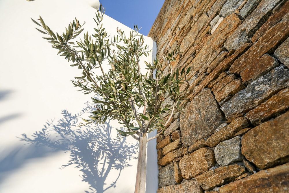 undefined Avra House 3