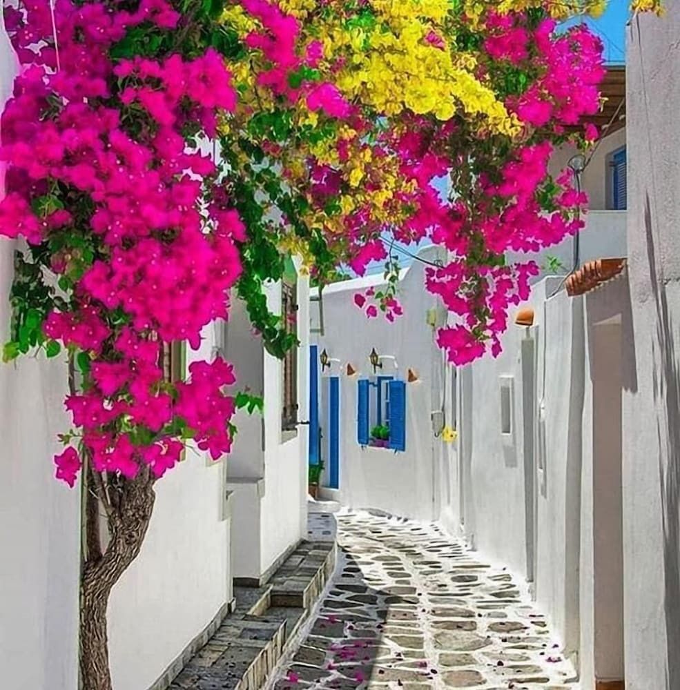 undefined Melinas House - Mykonos Town 2