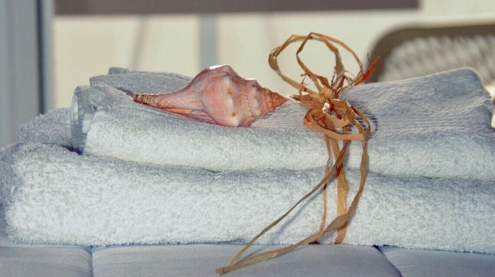 Flora's Houses Mykonos House (2) 10